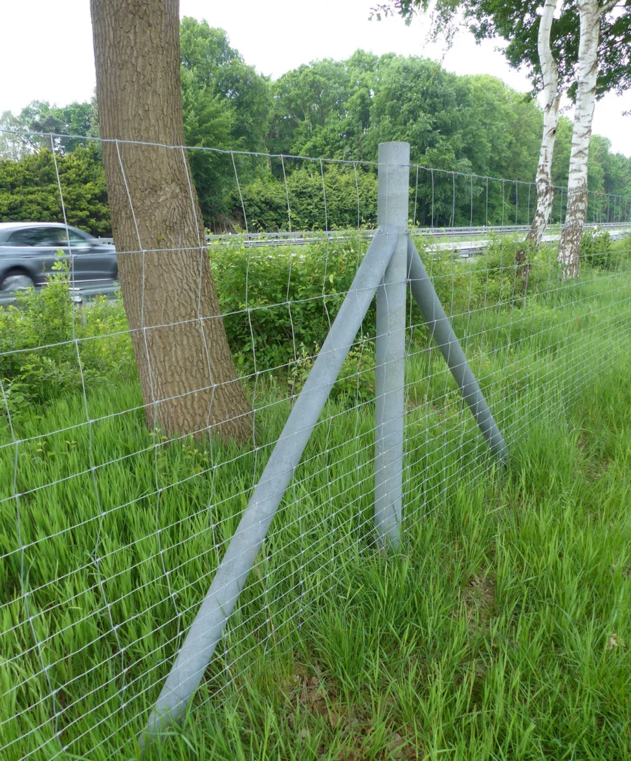 Ümarpost terassüdamikuga - Image 3